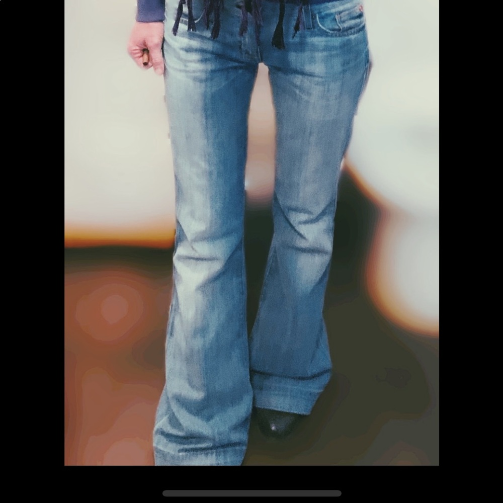 Size 28 Hudson Ferris flare jeans
